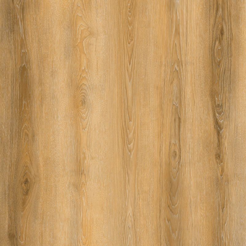 XL1009-24(001)