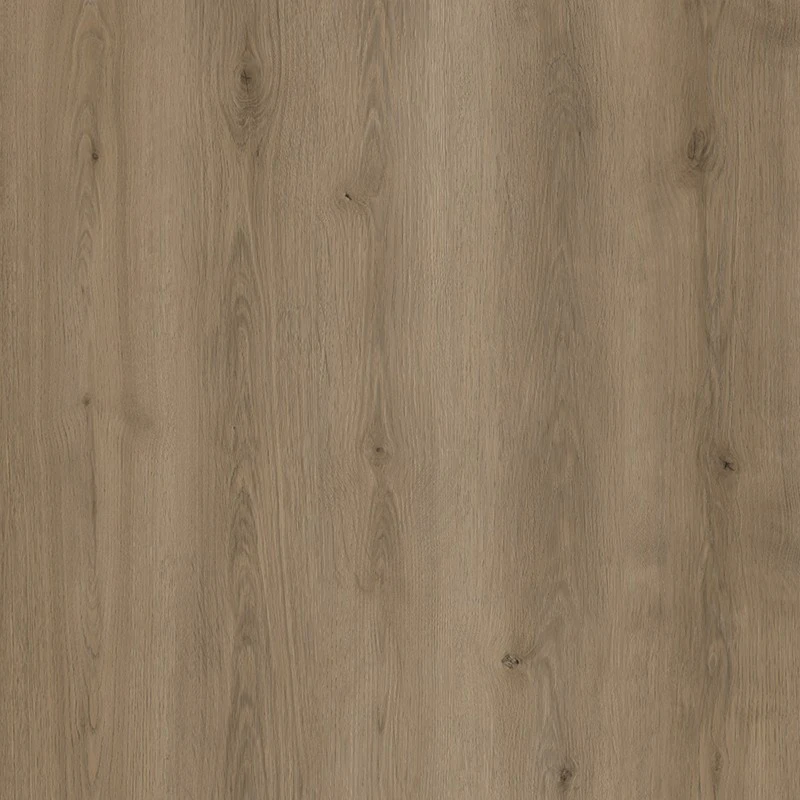 XL1036-19